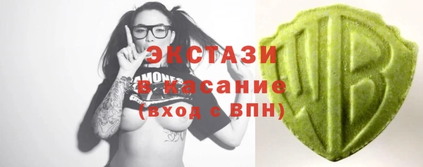 индика Вязьма