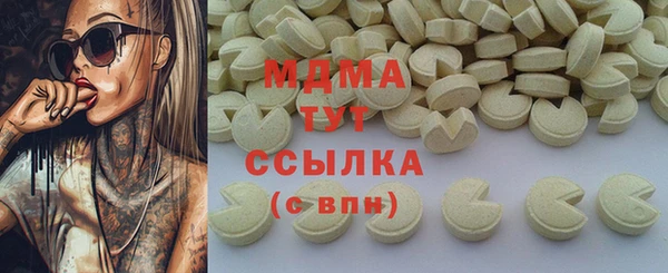 индика Вязьма