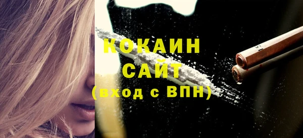 индика Вязьма